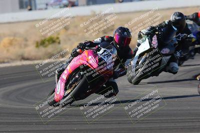 media/Dec-18-2022-SoCal Trackdays (Sun) [[8099a50955]]/Turn 4 (1pm)/